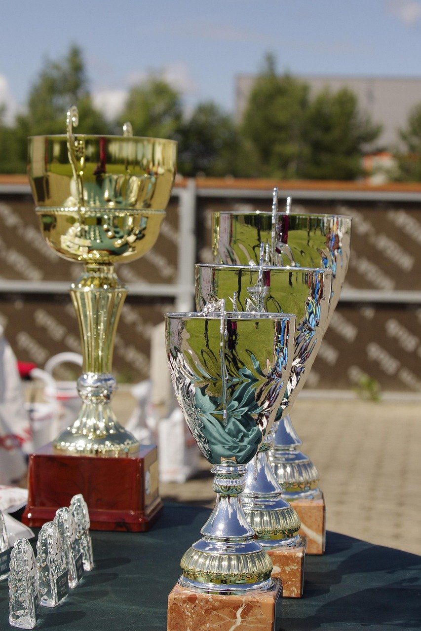 prize, competition, trophy, award, trophy, trophy, trophy, trophy, trophy, award